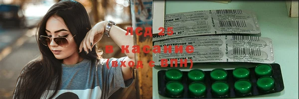 PSILOCYBIN Покачи
