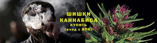PSILOCYBIN Покачи