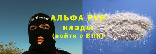 твердый Протвино