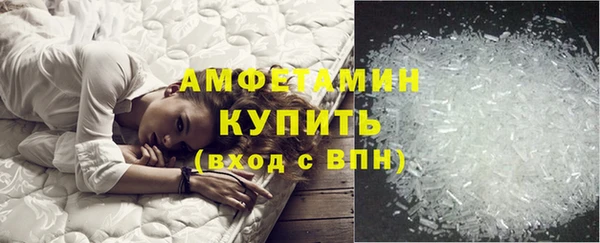 стафф Тайга