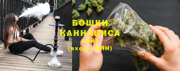 твердый Протвино