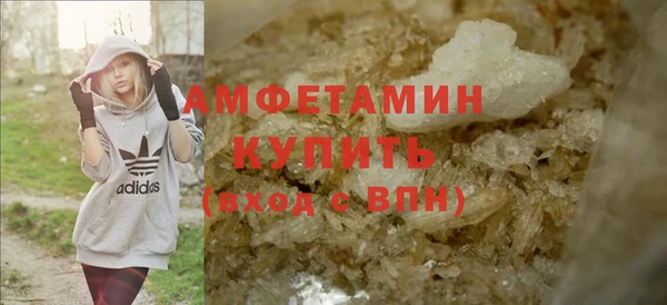 PSILOCYBIN Покачи