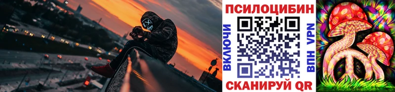 Галлюциногенные грибы Cubensis наркошоп Кукмор
